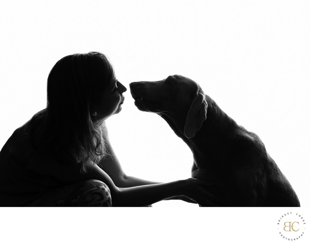 Silhouette of Woman and Weimaraner Sharing a Moment