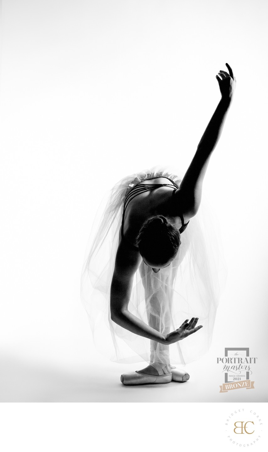 Ballet Silhouette Portrait