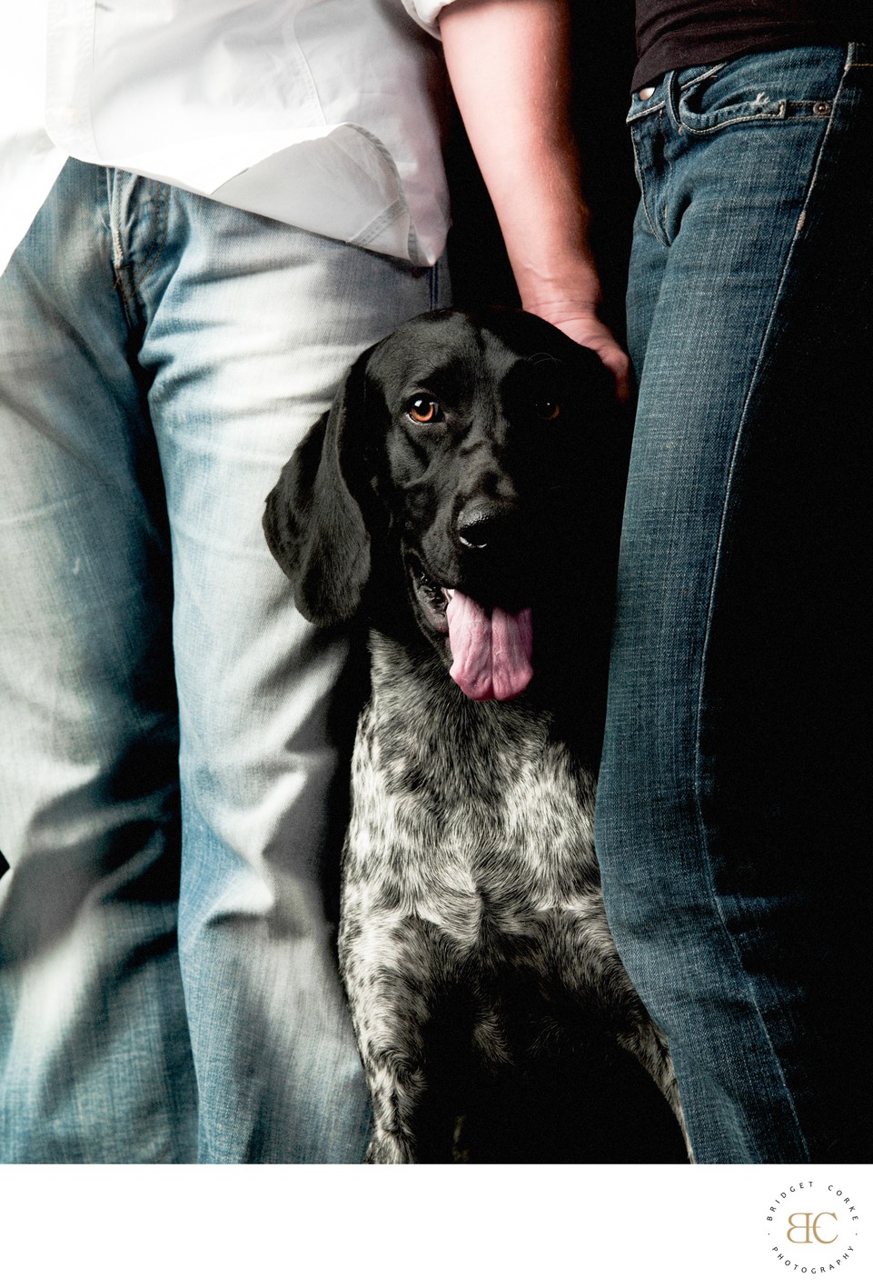 Heart-Warming Family Dog Portrait With Owners 