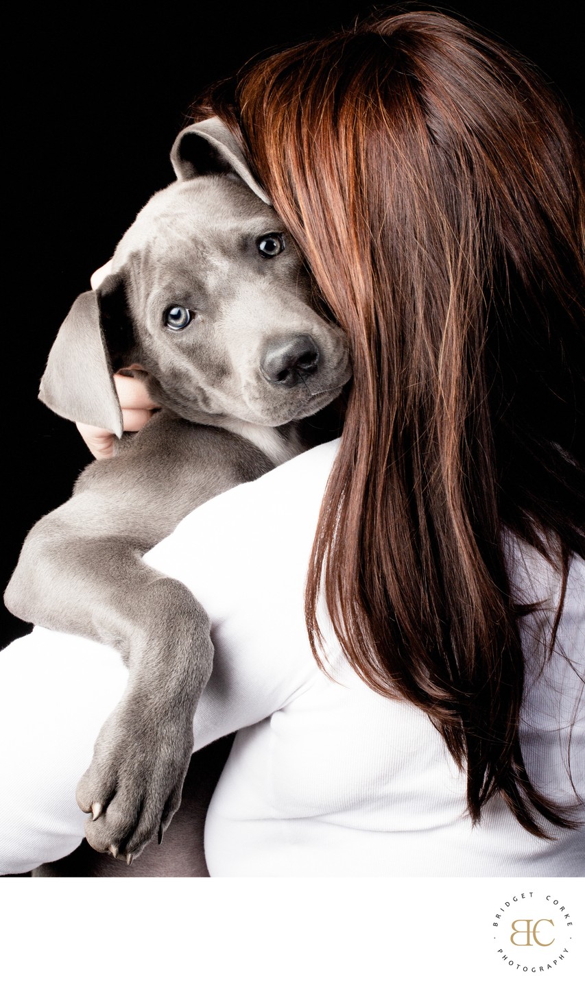 A loving embrace of a puppy and owner portrait