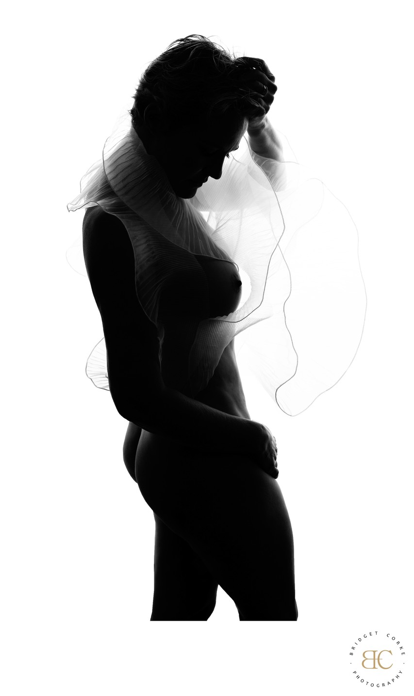 Ethereal Waves: A Silhouette Study