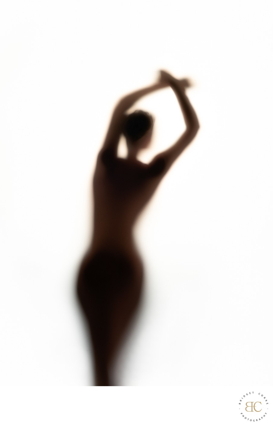 Ethereal Grace: A Soft Focus Silhouette