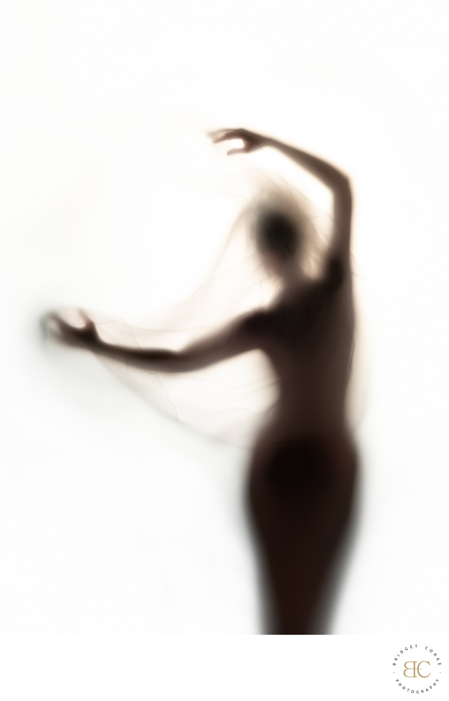 Dance of Light: Fluid Silhouette