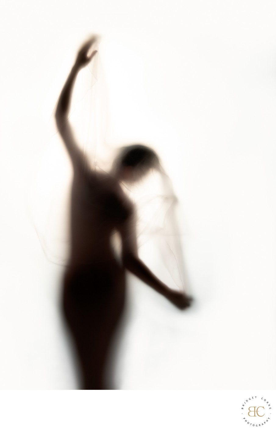 Veil of Grace: Abstract Silhouette