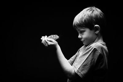 Young Boy Holding Pet Hamster