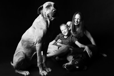 Rhodesian Ridgeback With Family Shoot