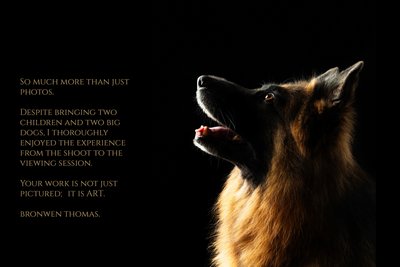 Artistic Dog Photographer Client Review