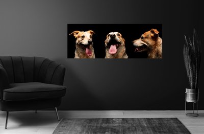 Dog Portrait Framed Wall Art