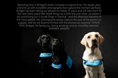 Incredible Dog Photographer Client Review