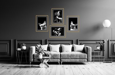 Framed Dog Portrait Wall Gallery