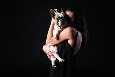 Pied French Bulldog Held By Woman