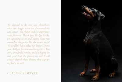 Cherished Dog Photo Client Review