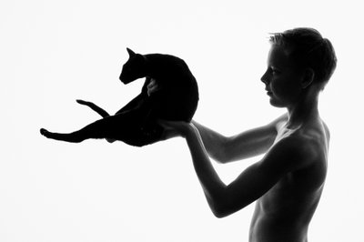 Elegant Silhouette of Boy and Cat - Artistic Portrait