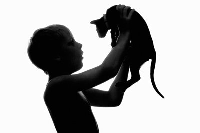 Silhouette of a Child and Kitten Showing Connection