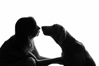 Silhouette of Woman and Weimaraner Sharing a Moment