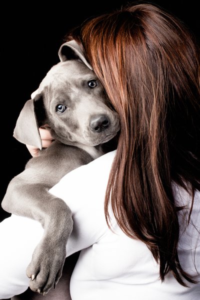 A loving embrace of a puppy and owner portrait