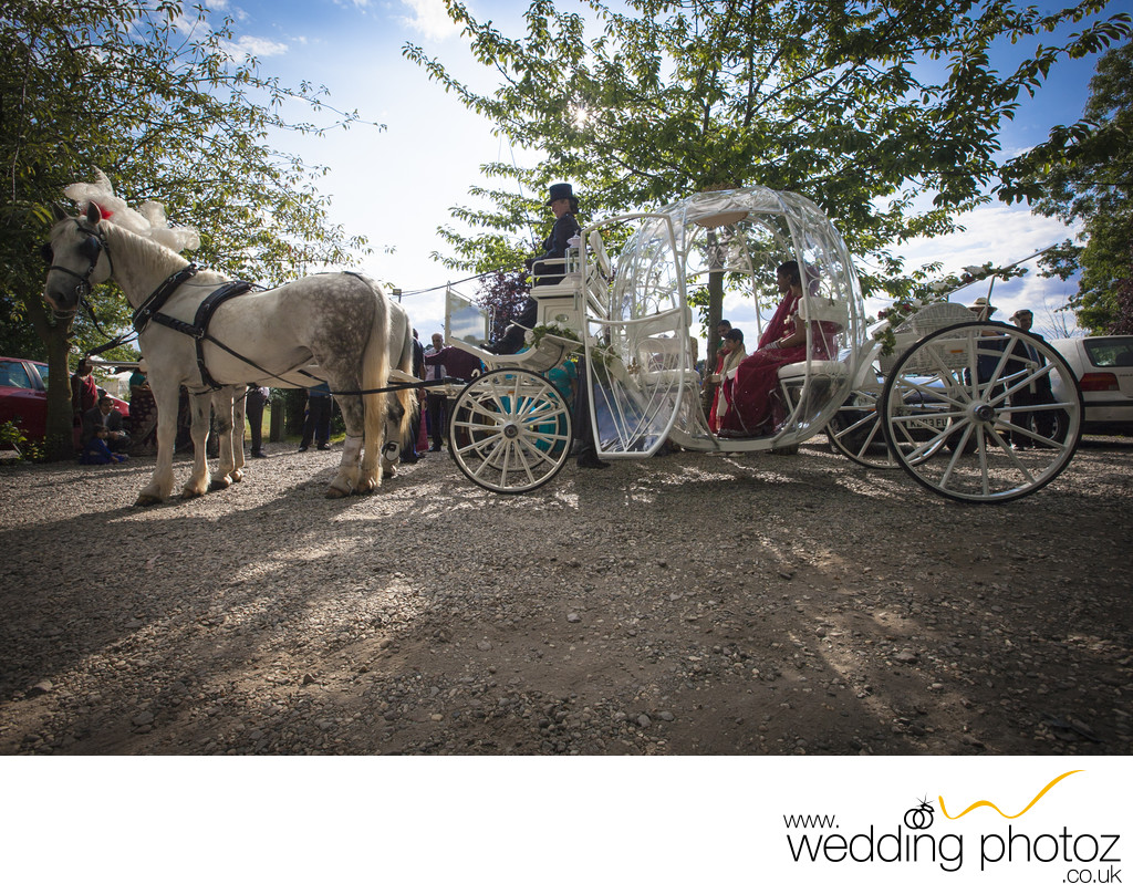 asian-wedding-horse-carriage-photos