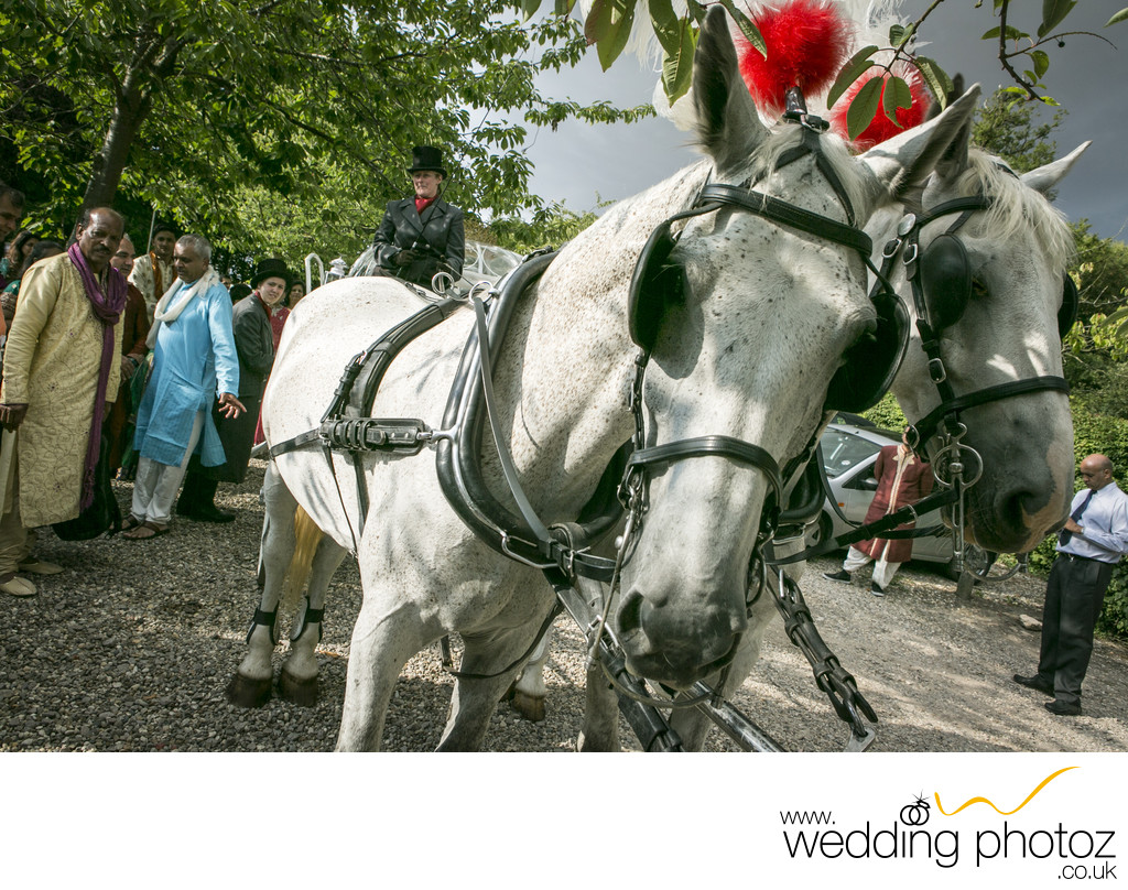 Horse carriages and Hindu weddings