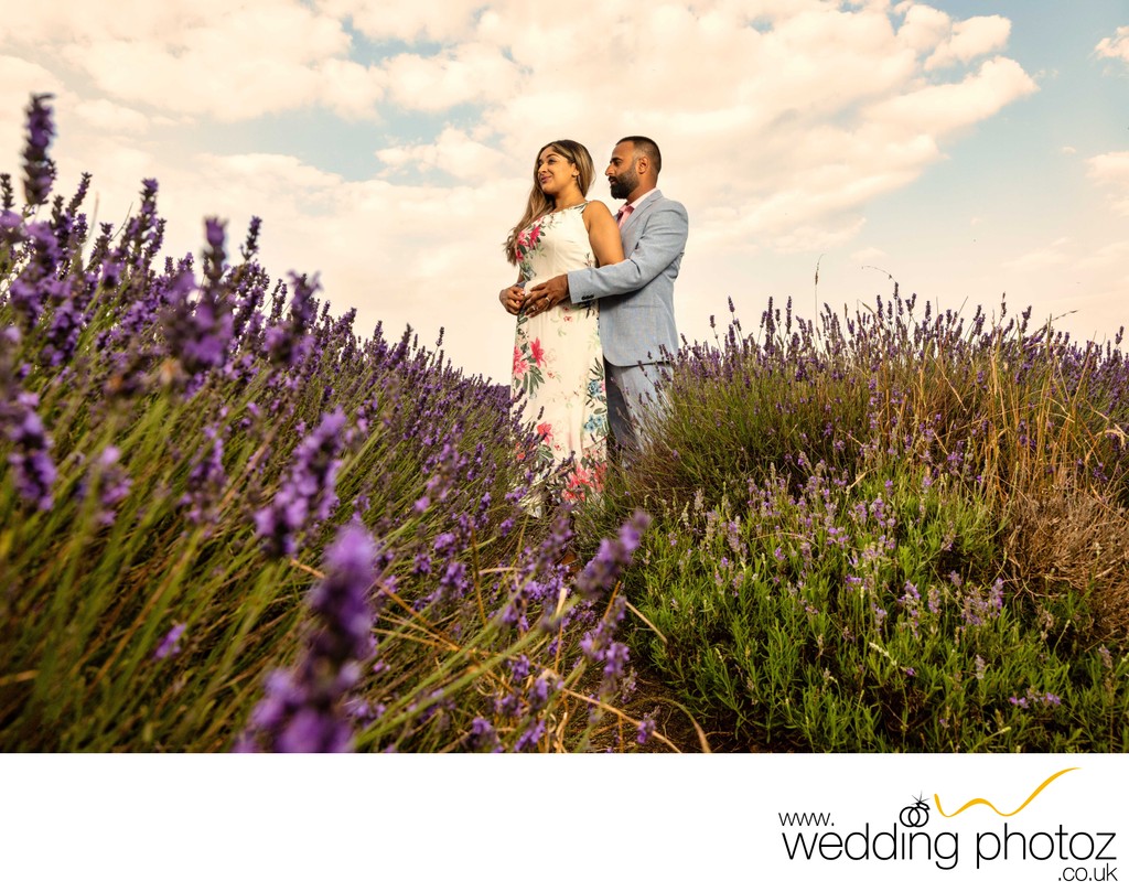Pre-wedding couple shoot at a Lavender fields  Hitchin