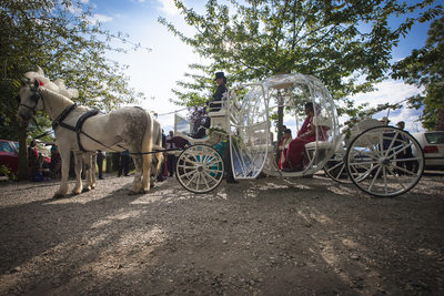 asian-wedding-horse-carriage-photos