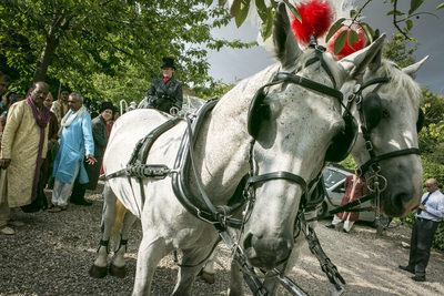 Horse carriages and Hindu weddings