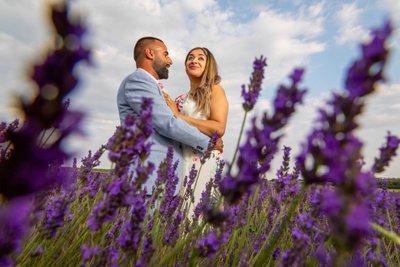 E-Shoot at Hitchin Lavender fields