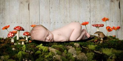 Baby in field of flowers Cedar Rapids Newborn Photos