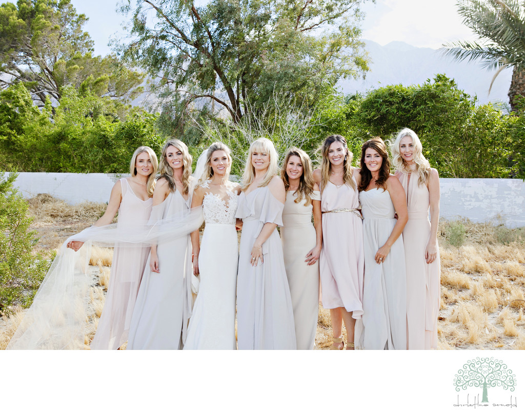 Best bridal party photos Palm Springs