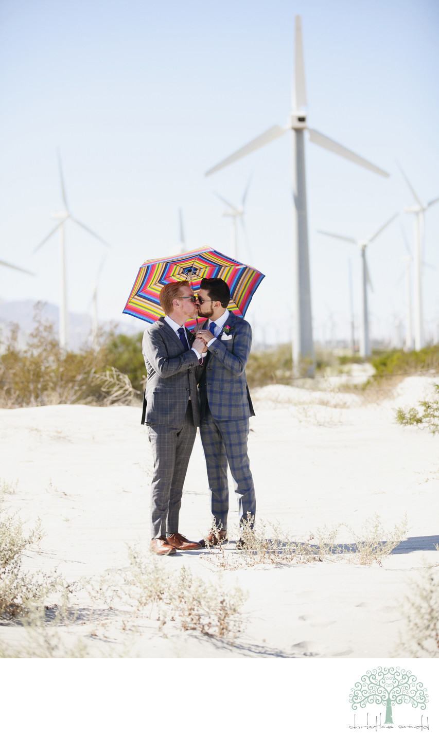 Best LGBTQ wedding photos at Palm Springs windmills