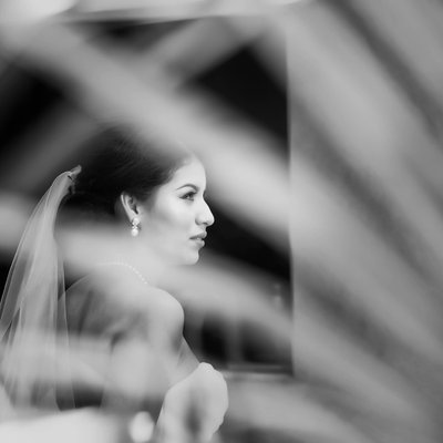 Houston Wedding photographer - Artistic Bridal Portraits