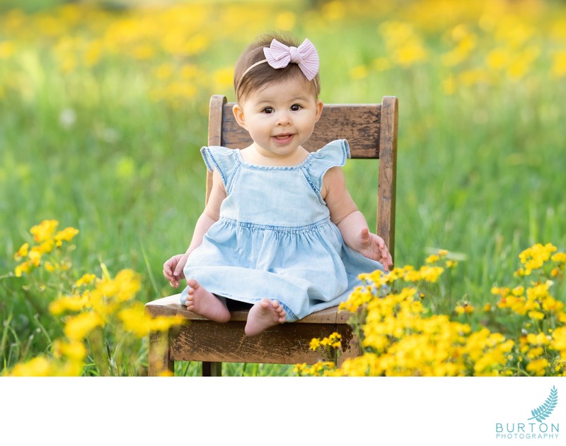 Baby portrait in wildflower field, Boone NC