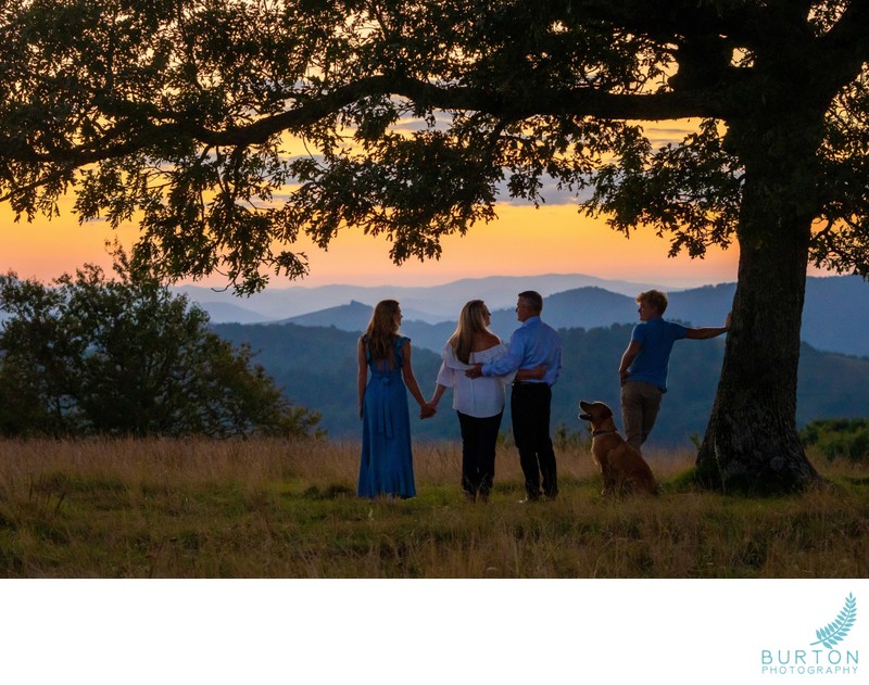Blue Ridge Parkway Family Portrait | Boone, NC