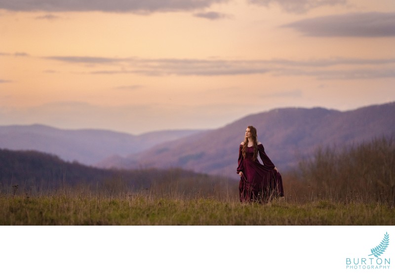 Moses Cone Meadow Portrait | Blue Ridge Parkway, NC