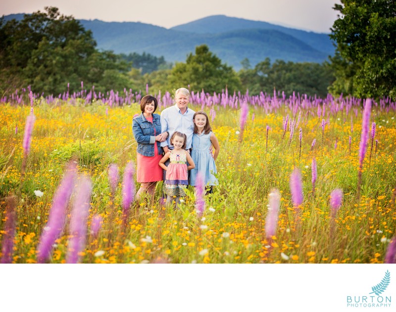 Family Portraits in the Wildflower Fields | NC
