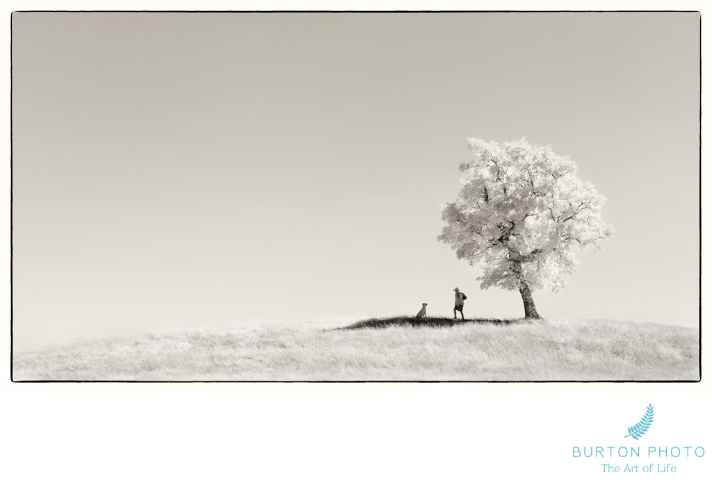 Blue Ridge Parkway Scenic Photo Infrared Tree With Dog