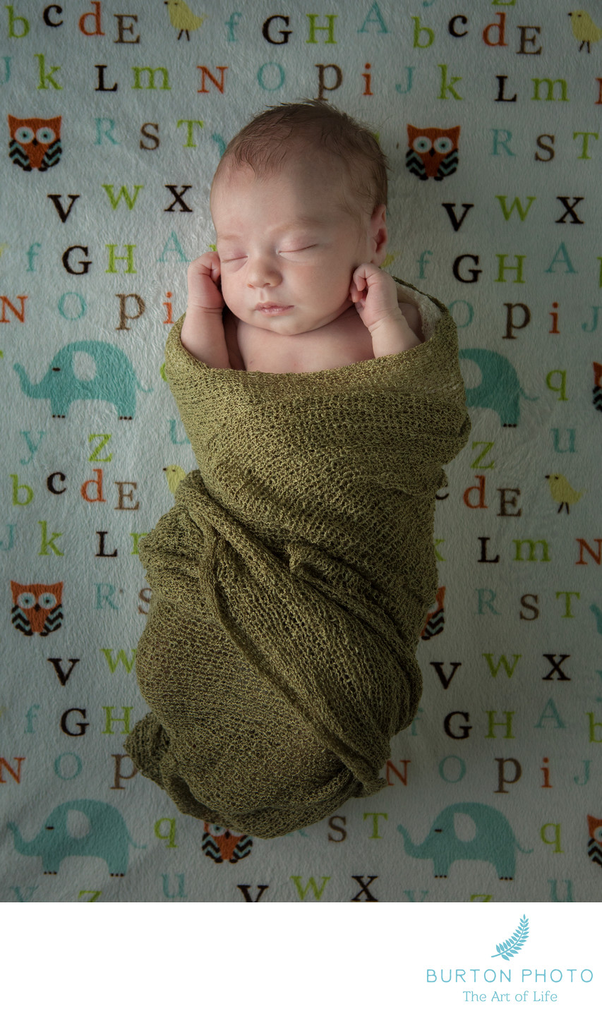 Top Newborn Baby Portraits Boone