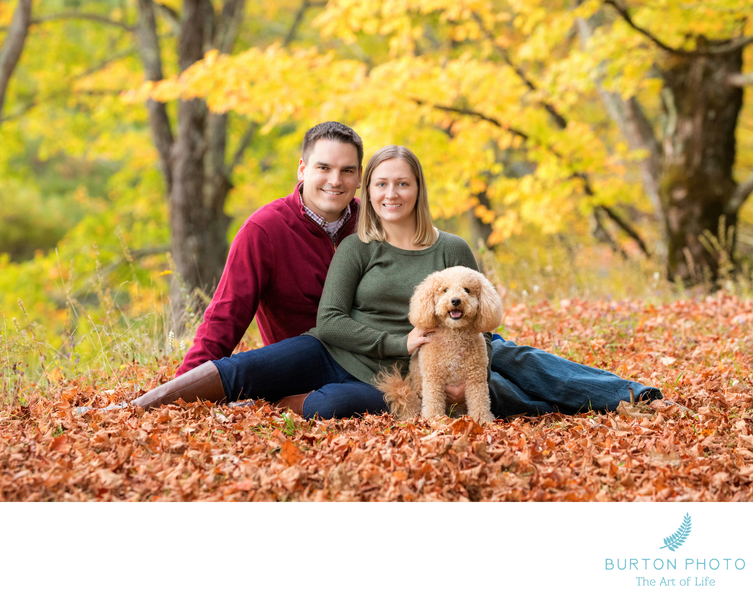 Family Portrait Session With Dog - Families