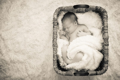 Best Newborn Baby Portrait Boone