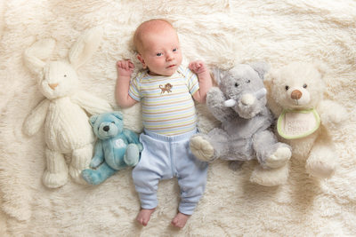 Top Newborn Baby Portrait Winston-Salem