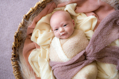 Best Newborn Baby Portraits Boone
