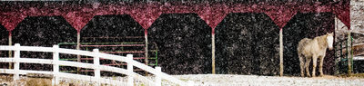 Boone Scenic Photographer Horse and Barn in Snow