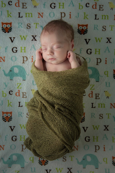 Top Newborn Baby Portraits Boone