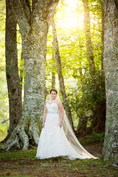 Wedding Photography in Blowing Rock Bridal Portrait