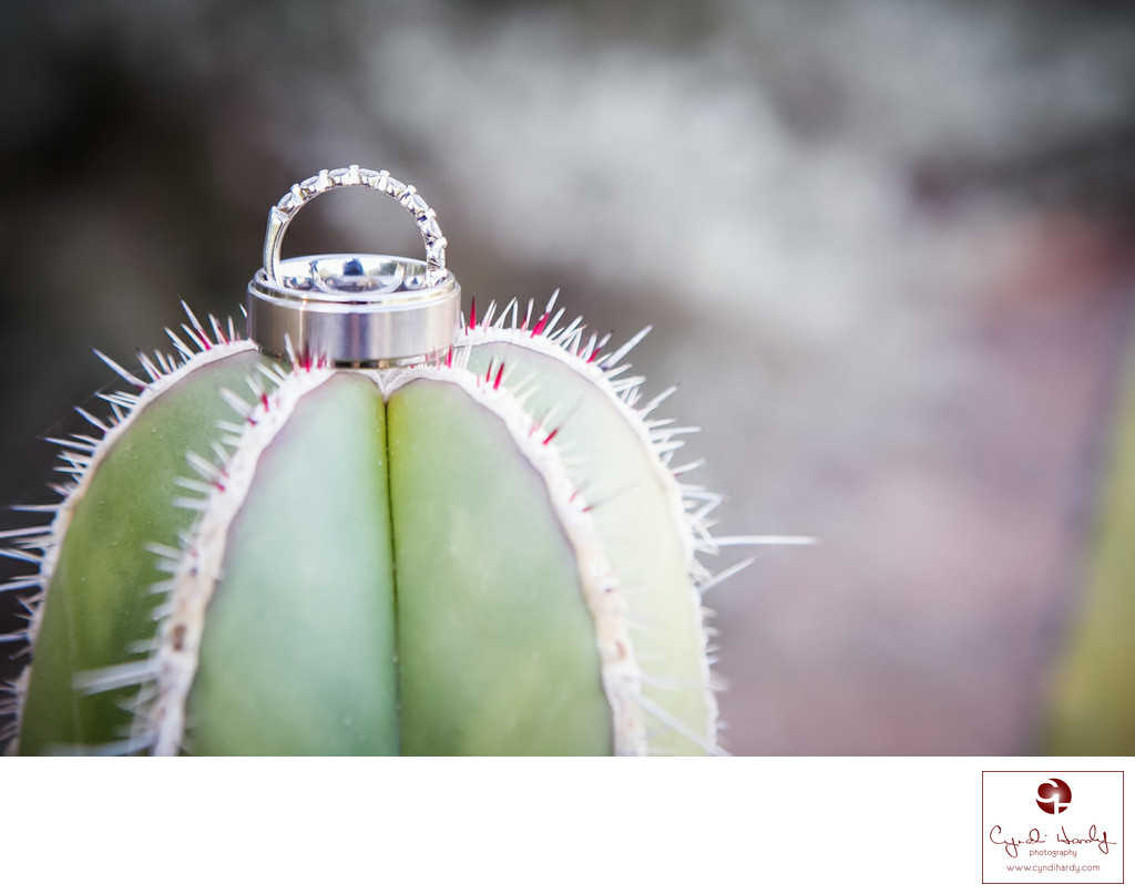 Wedding Rings on Cactus Scottsdale Wedding Photographer