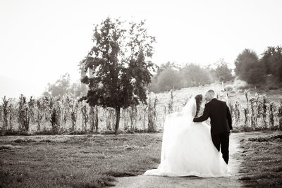 Romantic Wedding Photography at Bates Nut Farm