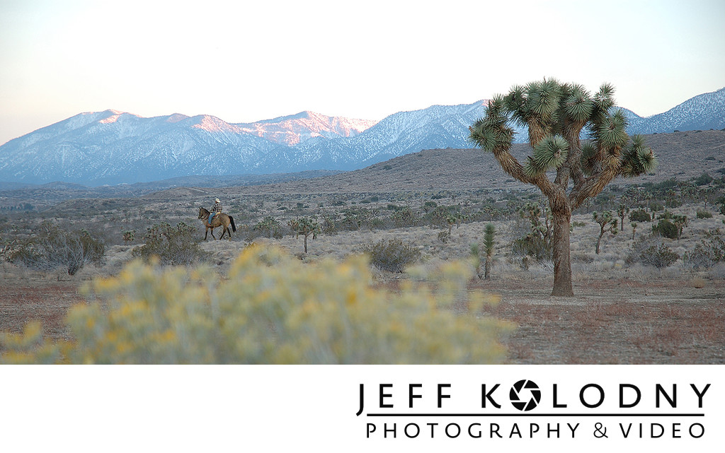 Joshua Tree National Park, California