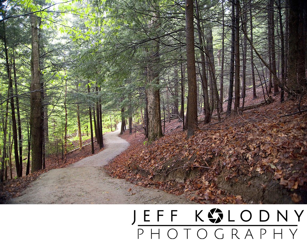 “Twisting Vermont Forest Path Fine Art Print”