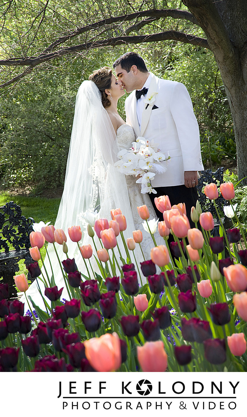 Washington DC wedding photography