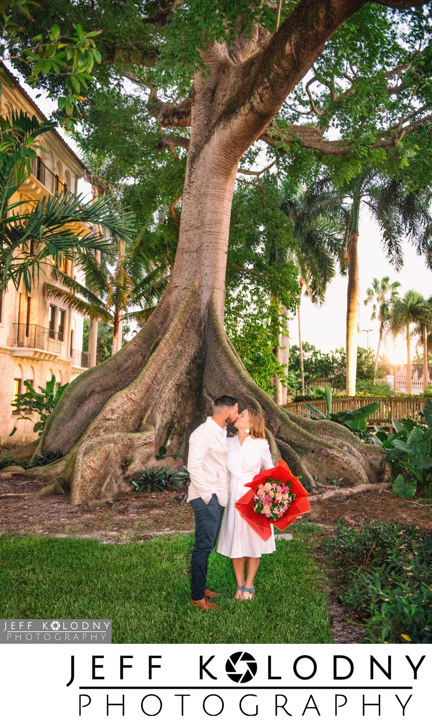 Engaged under the big tree