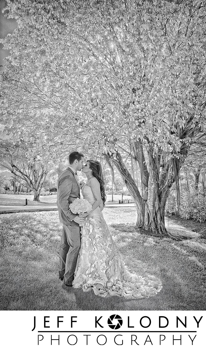Capturing Love: The Art of Florida Wedding Photography
